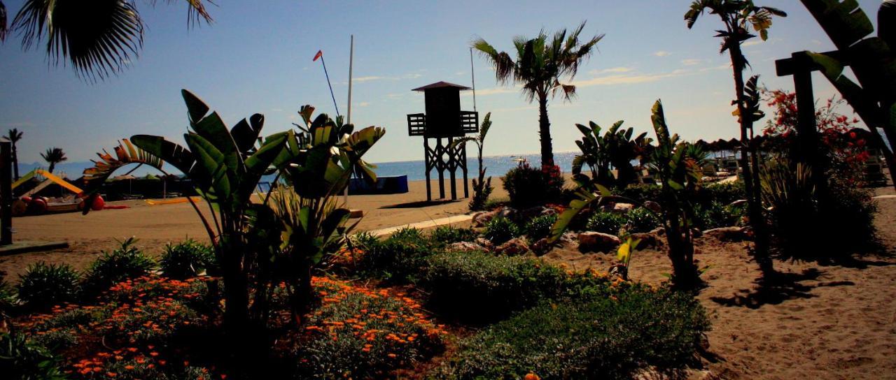 Estudio Con Encanto En La Carihuela 托雷莫利诺斯 外观 照片
